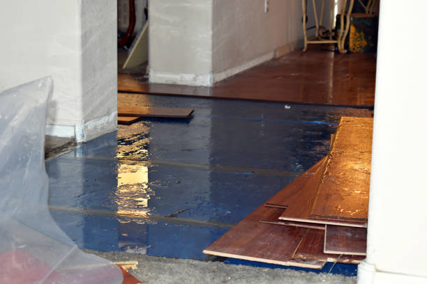 Professional Basement Flooding technician working in College Place, WA
